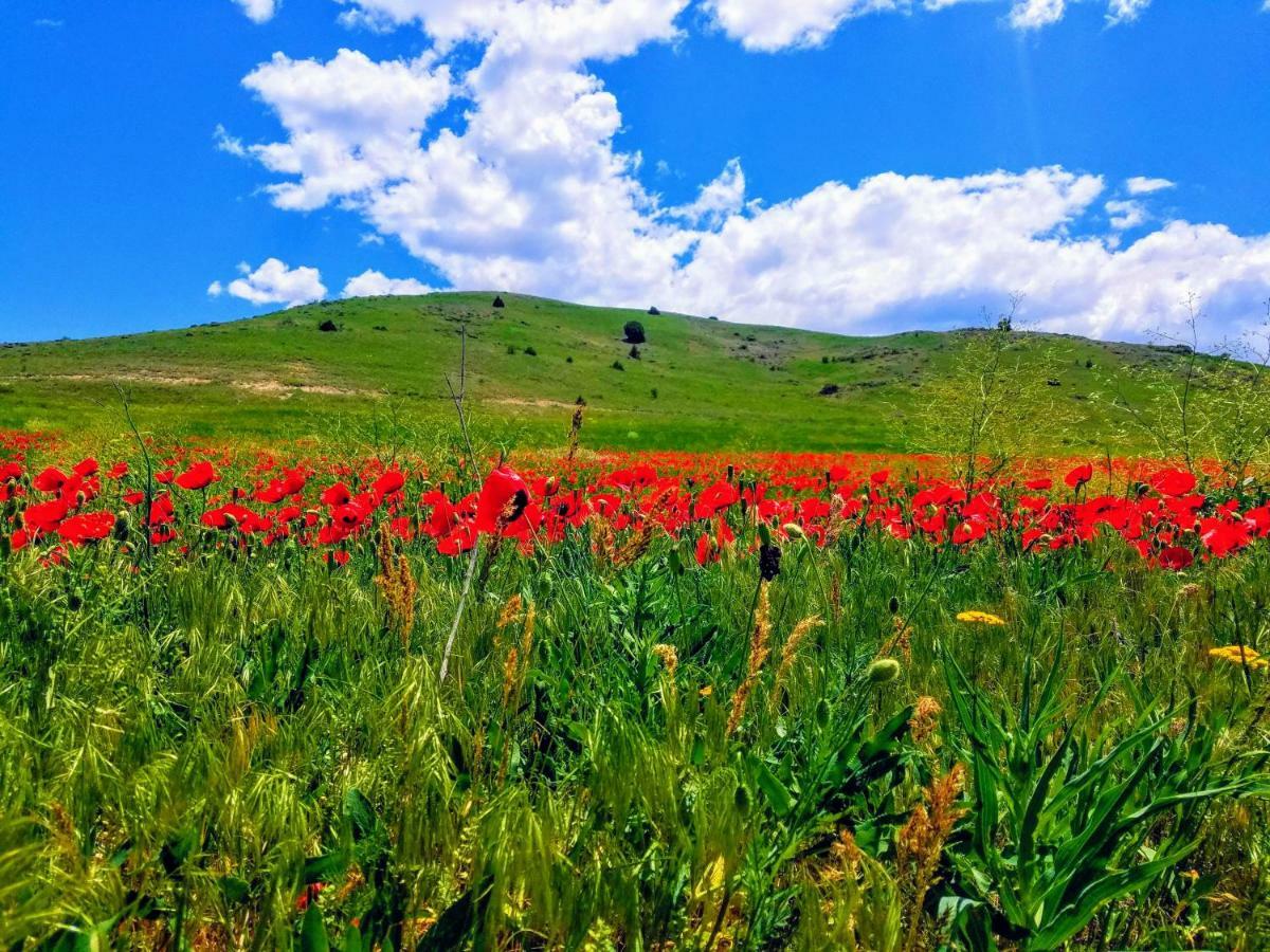 Karine B&B Yeghegnadzor Bagian luar foto